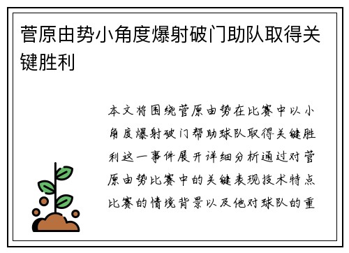 菅原由势小角度爆射破门助队取得关键胜利